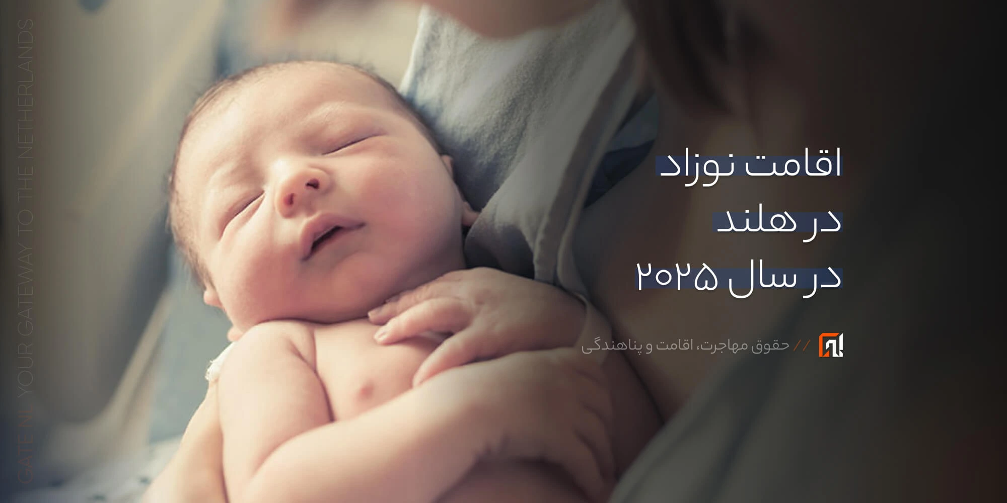 بازار کار هلند در سال 2025